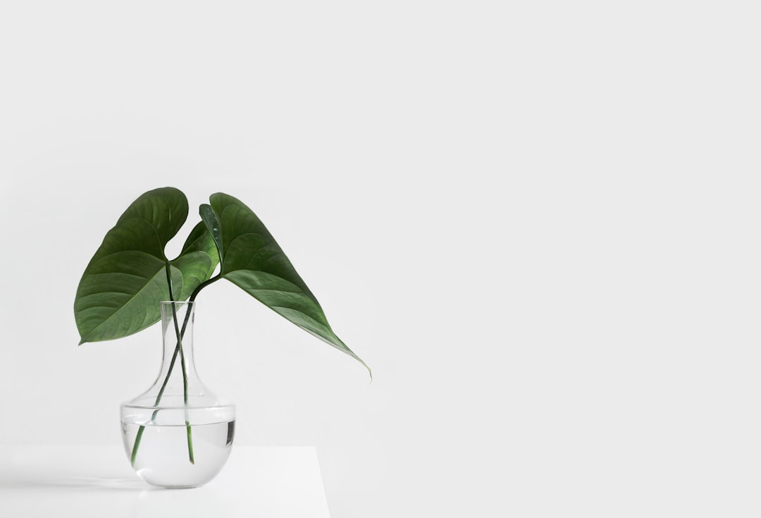 Photo Image: Floor Lamp Nouns: Minimalism, Lighting