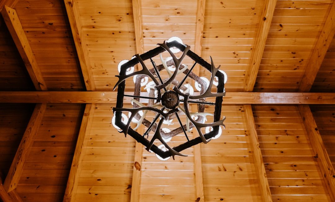 Photo farmhouse metal ceiling light