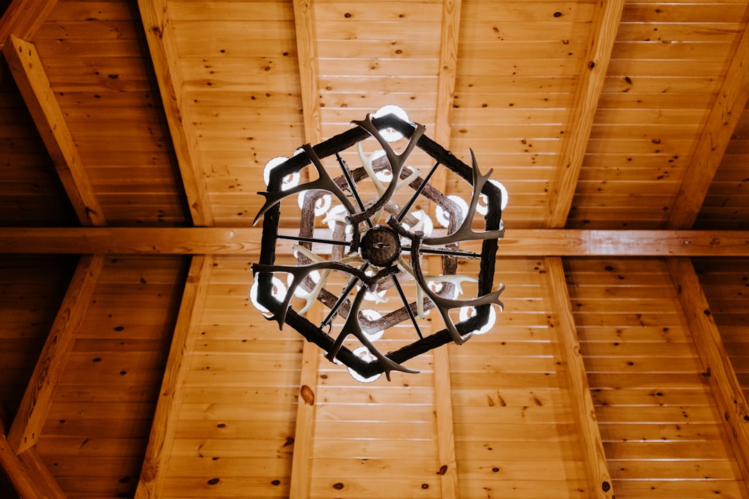 Photo farmhouse metal ceiling light